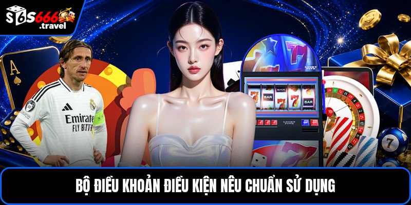 Bộ điều khoản điều kiện nêu chuẩn sử dụng
