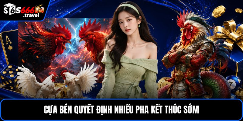 Cựa bén quyết định nhiều pha kết thúc sớm