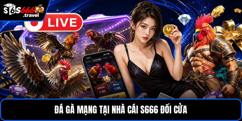Đá gà mạng tại nhà cái S666 đổi cửa