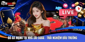 Đá gà mạng tại nhà cái S666