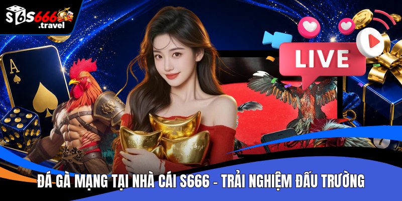 Đá gà mạng tại nhà cái S666