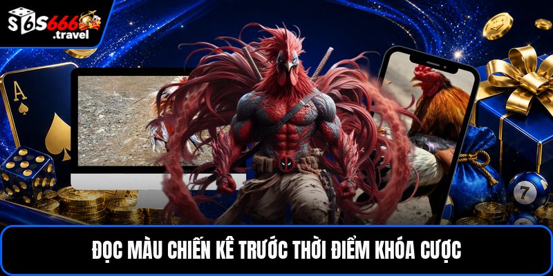 Đọc màu chiến kê trước thời điểm khóa cược