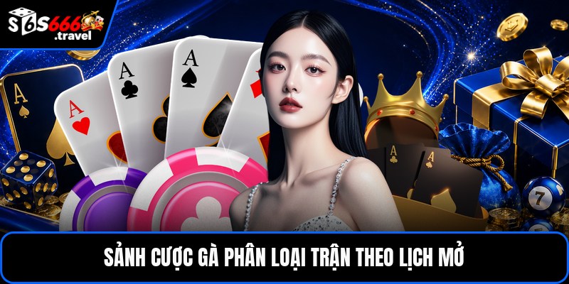 Sảnh cược gà phân loại trận theo lịch mở