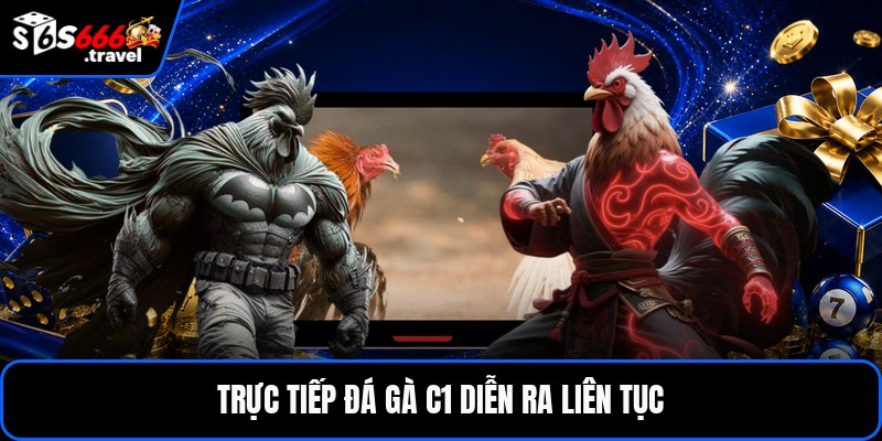 Trực tiếp đá gà c1 diễn ra liên tục