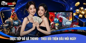Trực tiếp đá gà thomo